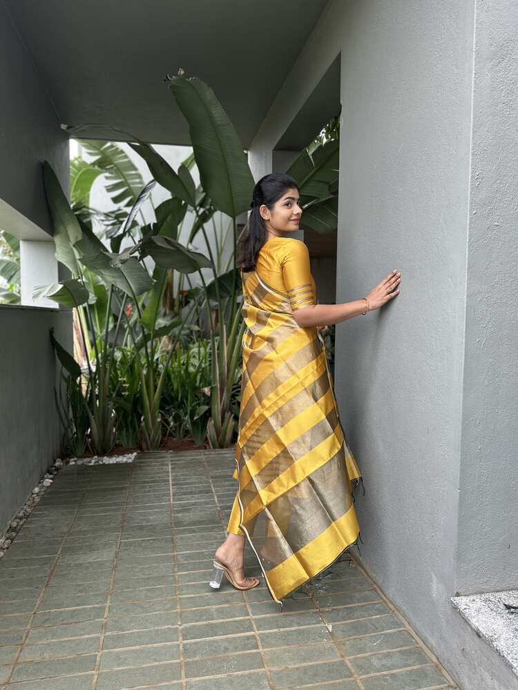 Amber Heart Rise Banarsi Silk Stitched Suit - Image 2