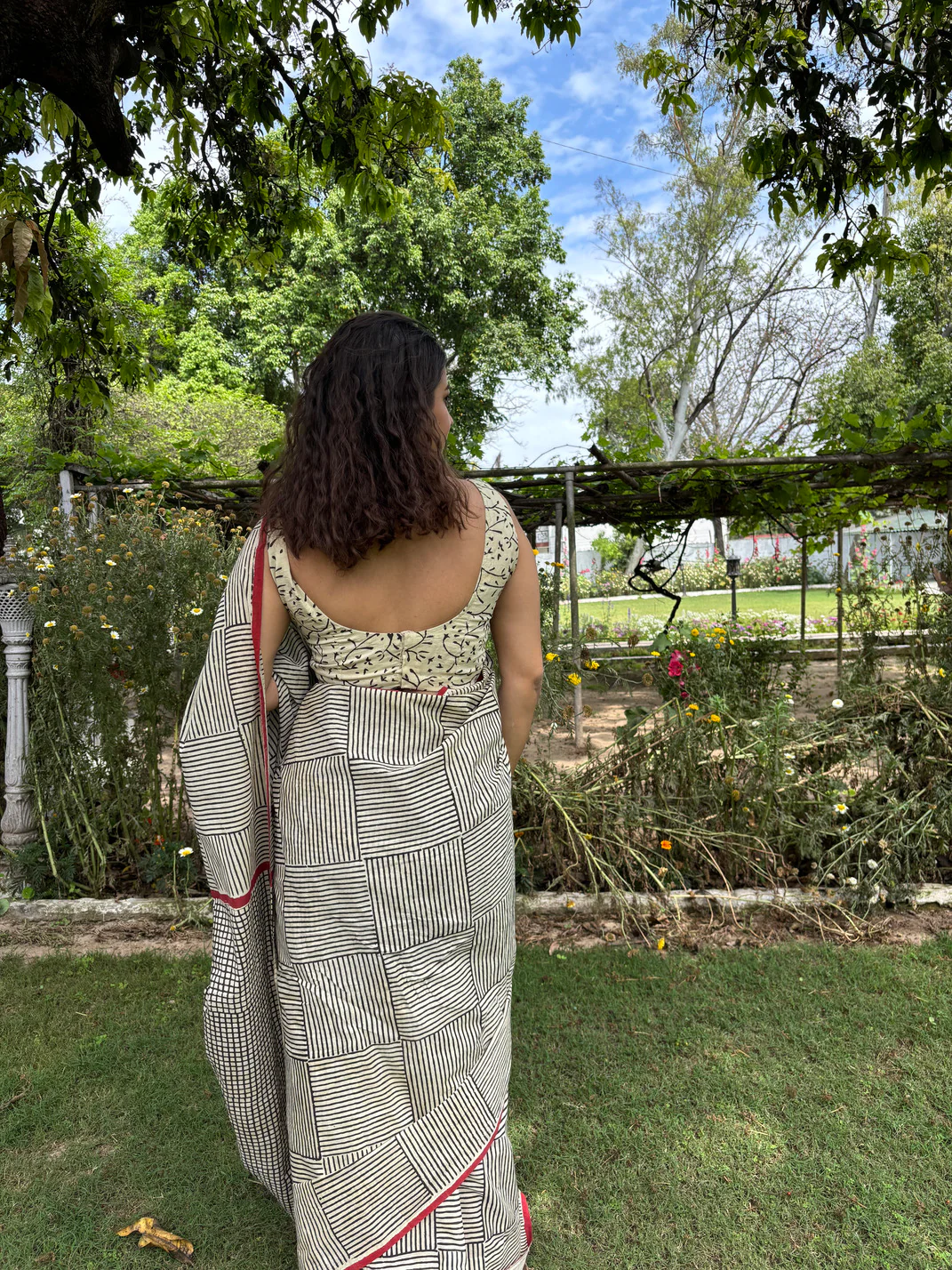 Lily Cotton Saree - Image 4